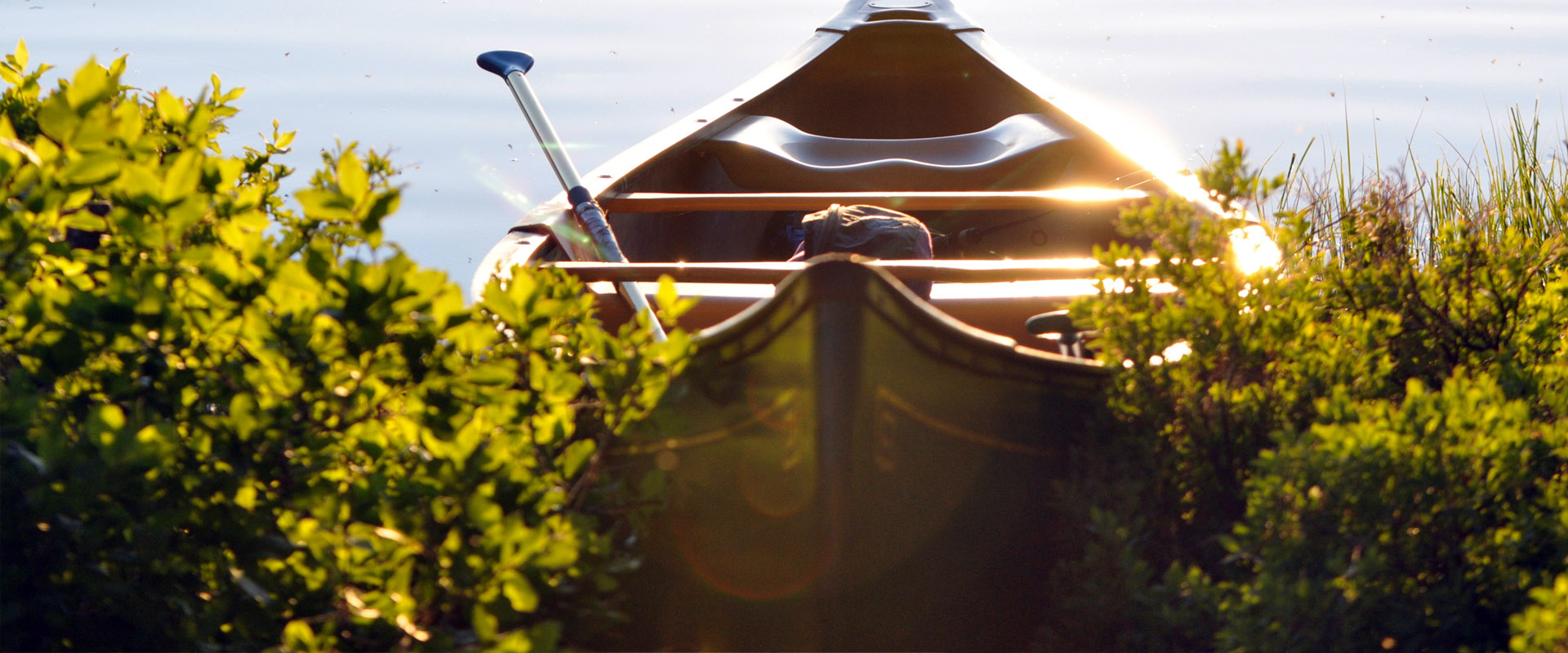 ddos在线攻击平台