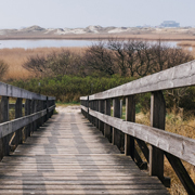 免费ddos在线攻击测试网站